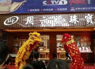 宋家班龙狮鼓艺（团）专业舞龙，舞狮（梅花庄）