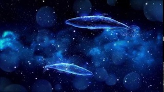 【视频】周冬雨-星辰大海 MV伴奏LED演出视频