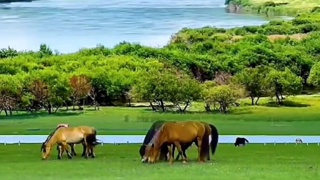 【音乐教学】萨克斯入门练习小品《茉莉花》完整示范，分步骤讲解气息控制与指法配合，帮助初学者快速掌握基