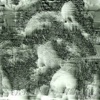 Wilho Ilmari个人资料