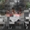 温池禹个人资料